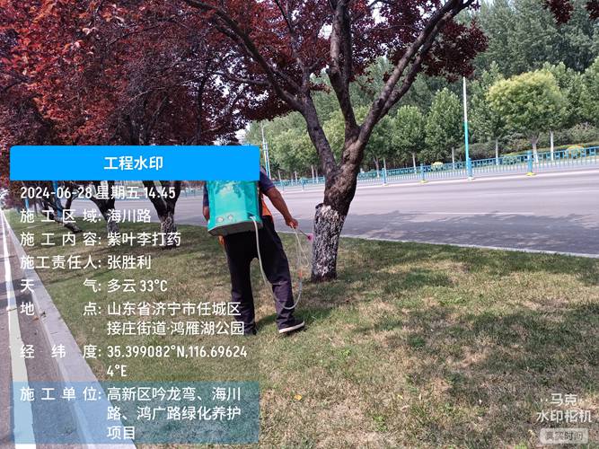綠化養護工程